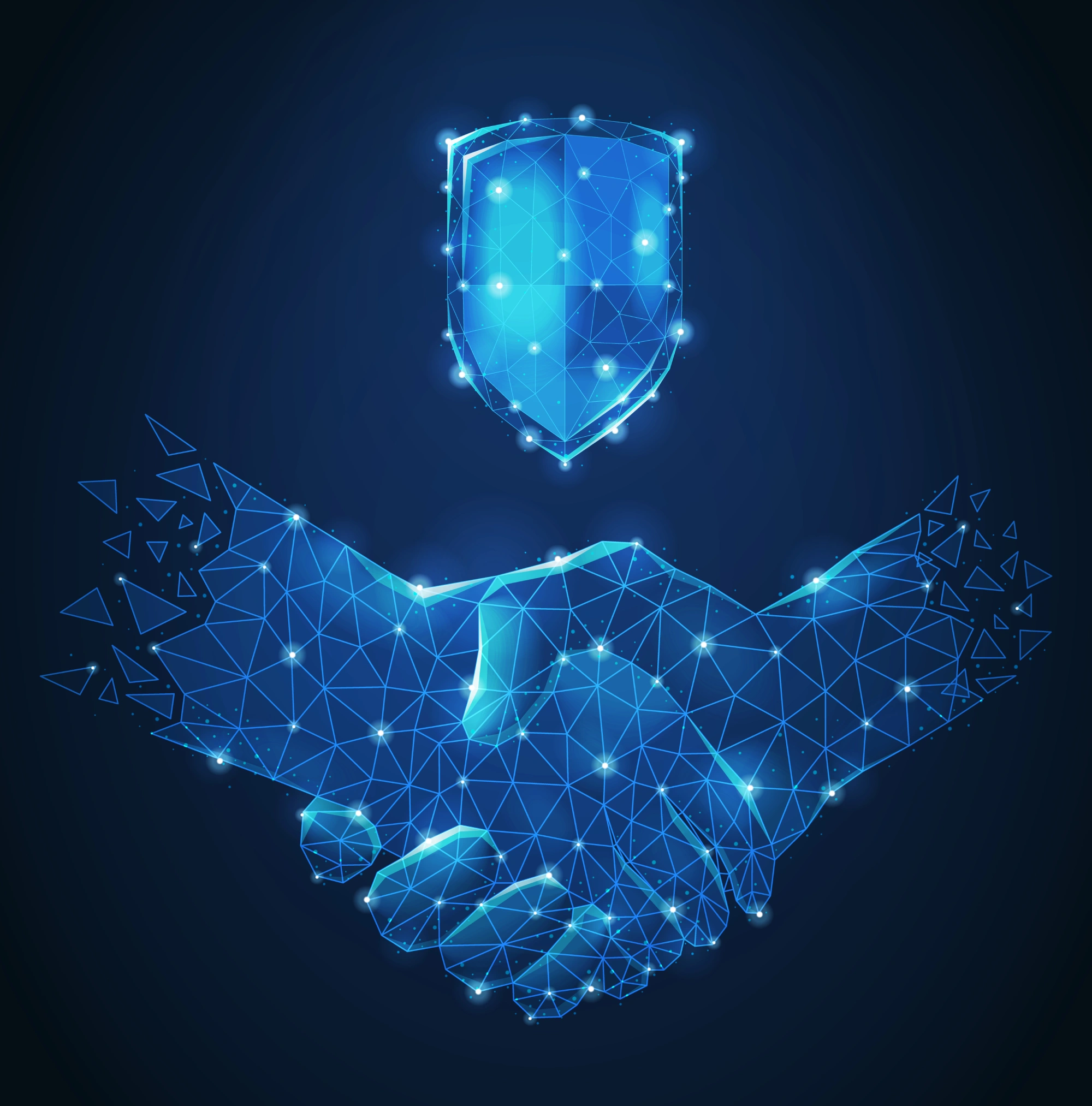 Local IT Security Partner